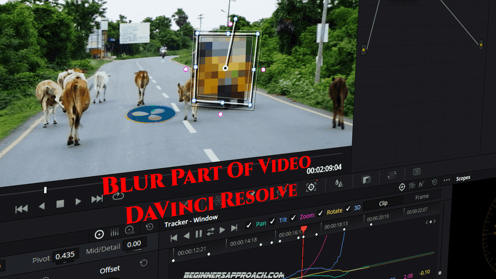 featured davinci resolve blur part of video