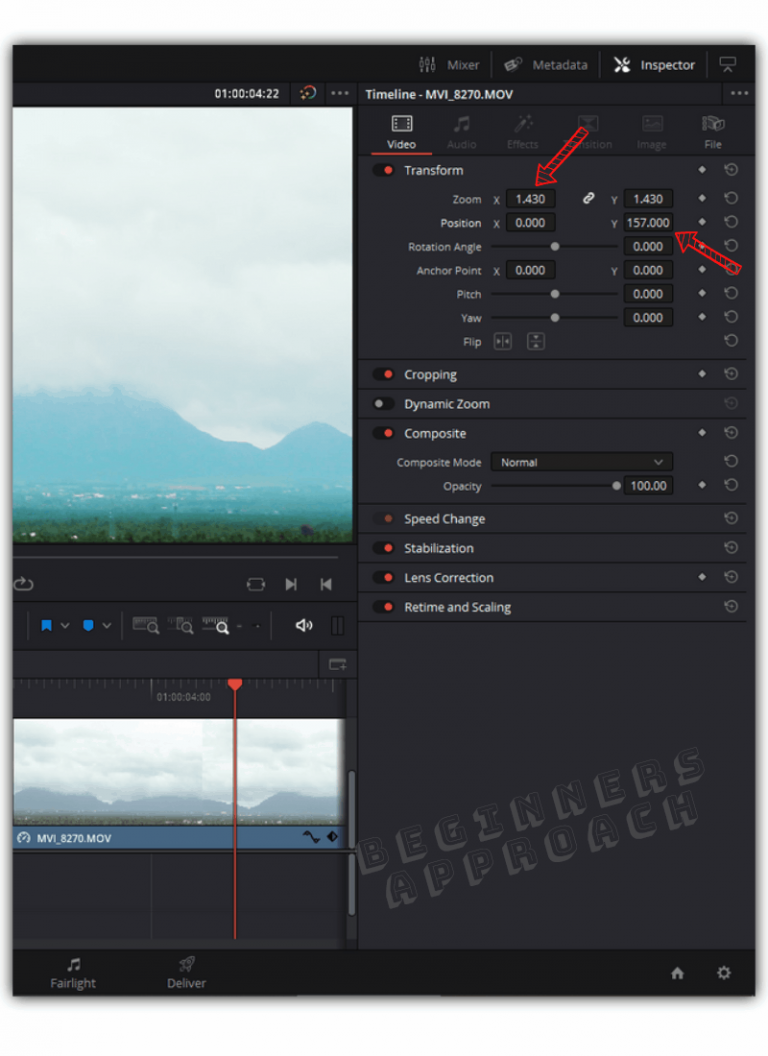 DaVinci Resolve Zoom In On Clip & Timeline (2024!)