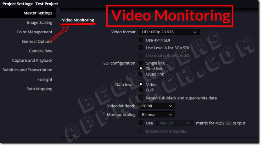 davinci resolve video monitoring