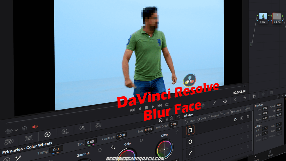 featured davinci resolve blur face