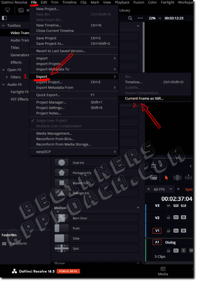 How to Export Frame in DaVinci Resolve (Still Image) 2024
